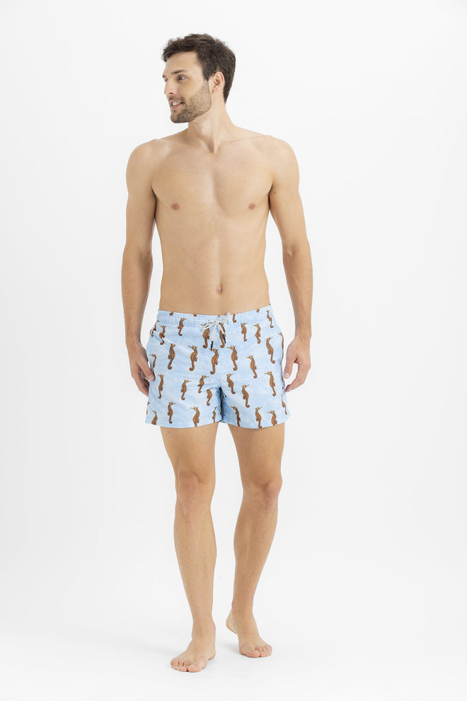 Sale Swim trunk seahorses