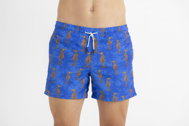 Sale kids Swim trunk seahorses