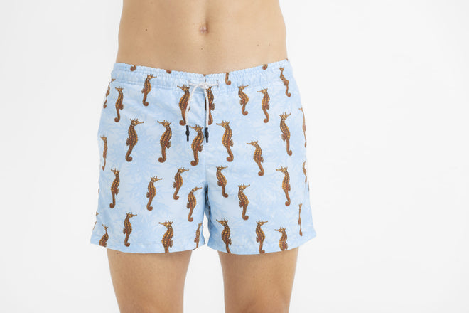 Sale kids Swim trunk seahorses