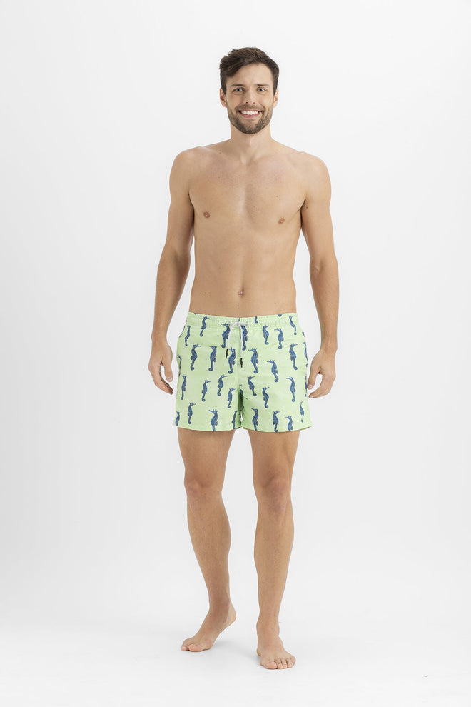 Sale Swim trunk seahorses