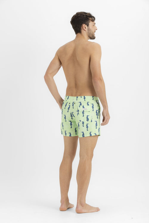 Sale Swim trunk seahorses