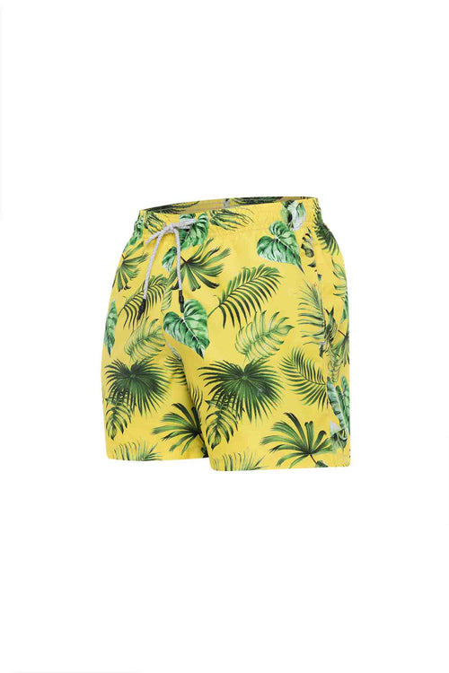 Sale Swim trunk palm