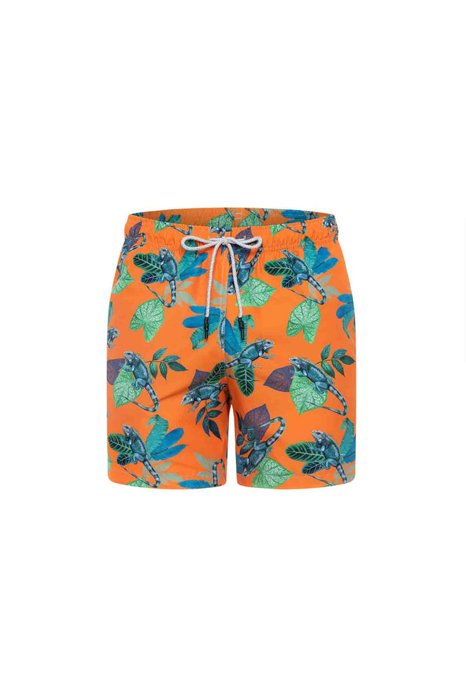 Sale Swim trunks iguanas