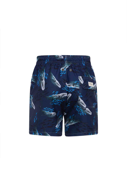 Sale Swim trunk whales