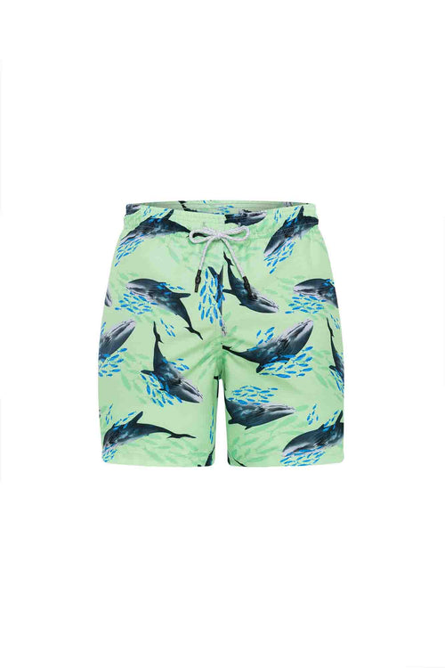 Sale Swim trunk whales