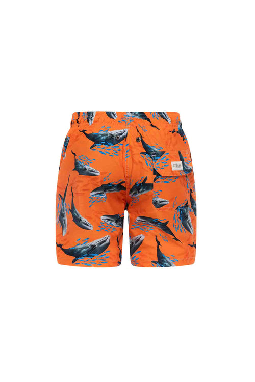 Sale Swim trunk whales