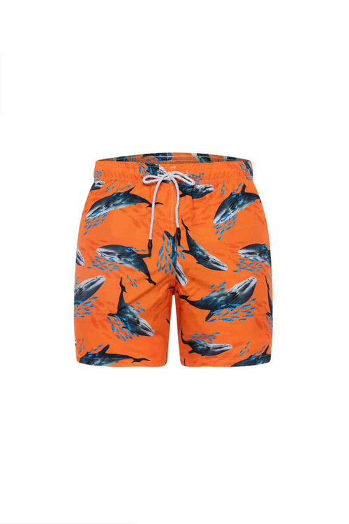 Sale Swim trunk whales