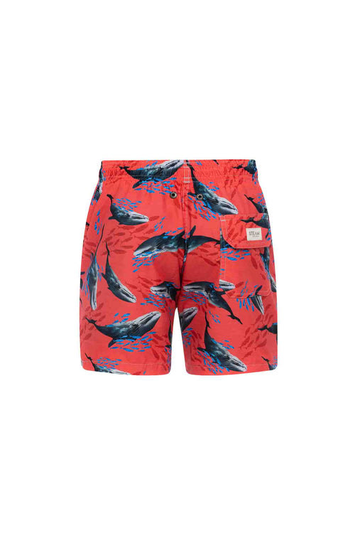 Sale Swim trunk whales