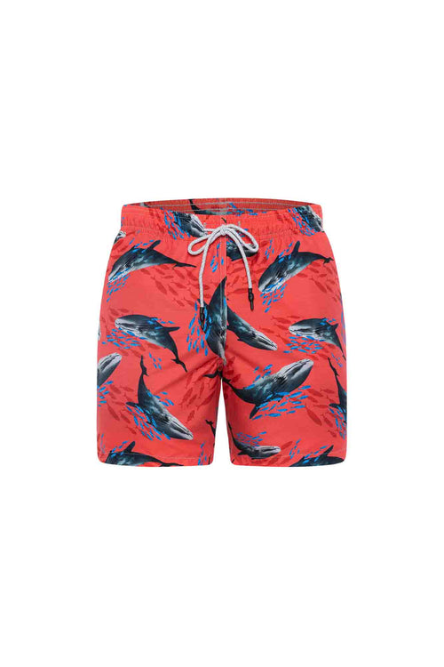 Sale Swim trunk whales