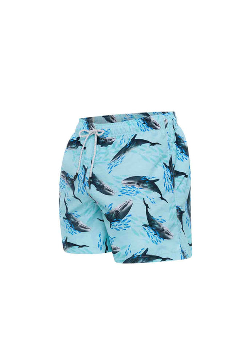 Sale Swim trunk whales