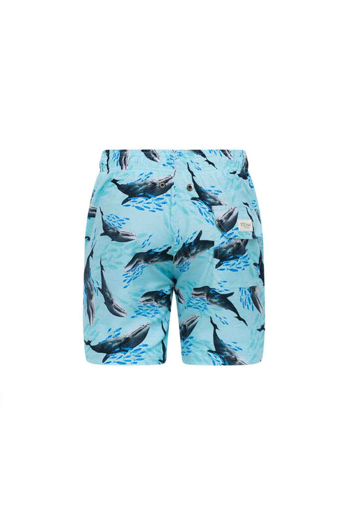 Sale Swim trunk whales