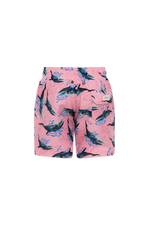 Sale Swim trunk whales