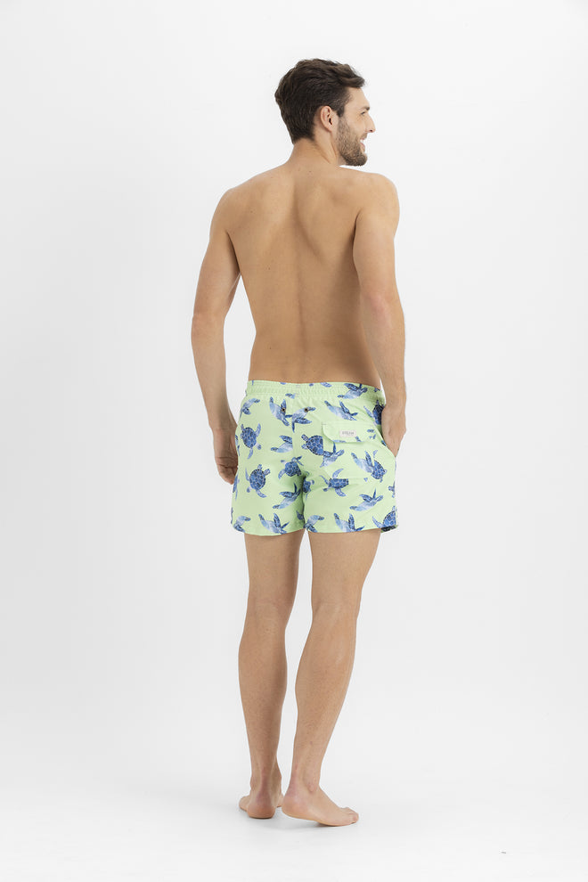 SALE SWIM TRUNK TURTLES