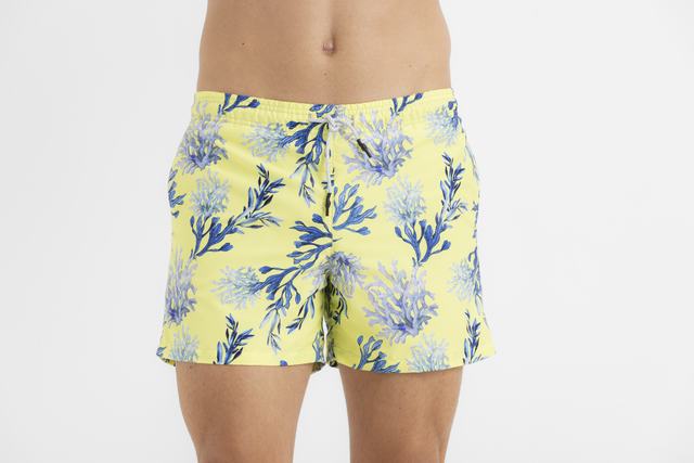 Sale SWIM TRUNKS KIDS ANEMONES